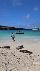 Galapagos